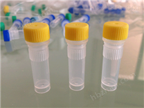 过氧化还原酶3抗体