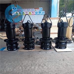 HQB型潜水混流泵