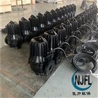污水提升排污泵
